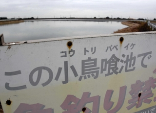 小鳥が食べられる池？＝神戸市西区神出町宝勢