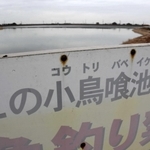 小鳥が食べられる池？＝神戸市西区神出町宝勢