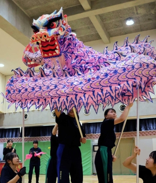 生き生きとした龍舞を表現する神港橘高校の龍獅團＝神戸市兵庫区会下山町３