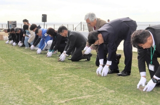 芝生を植え込む関係者ら＝舞子公園
