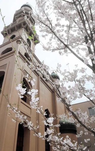 神戸ムスリムモスクのシンボル、ソメイヨシノ＝中央区中山手通２