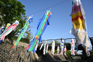 児童が模様を描いた色とりどりのこいぼり＝神戸市灘区の都賀川