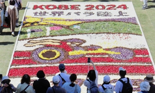 ２８万本のチューリップが彩る「インフィオラータこうべ２０２４」＝中央区中山手通１