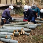 住民らによる竹の切り出し作業（神戸市提供）