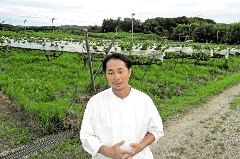 ブドウ畑から始まる職人ワイン造り ブドウ畑から始まる職人ワイン造り