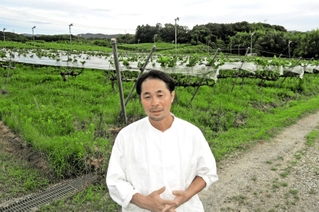 放棄されかかったブドウ畑を借り受け、減農薬や有機農法での栽培に挑戦する宮本健司さん＝神戸市北区大沢町