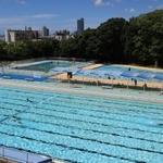 緑に囲まれた都心のオアシス。最後の夏を惜しむように、市民らがゆったりと泳いでいた＝神戸市灘区王子町、王子スポーツセンター（撮影・長嶺麻子）