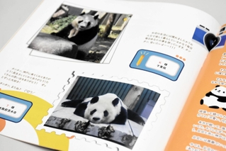タンタンファンが撮影した写真やメッセージが掲載された記念アルバム「私とタンタン」