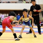 子どもたちの白熱の試合が繰り広げられた神戸レスリングフェスティバル＝神戸市灘区青谷町１、王子スポーツセンター