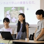 「シチダンカ」について発表する六甲山小の児童ら＝神戸市灘区六甲山町北六甲