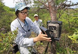 六甲山周辺の山中で市が増設を進めるシカ監視用のセンサーカメラ＝５月２日、北区