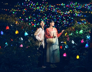 光のアート作品で彩られた木々。今回の催しで見ることができる＝神戸市灘区、ＲＯＫＫＯ森の音ミュージアム（六甲山観光提供）