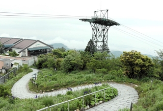 廃止が決まった「六甲有馬ロープウェー」表六甲線の支柱＝灘区六甲山町（２０２１年５月撮影）