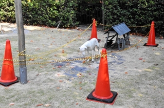 ロープで囲われ、うなだれているような姿がさらに強調されて見える犬の像＝中央区下山手通４、県公館