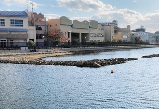 浜山小学校前の兵庫運河に整備された干潟。児童たちは「あつまれ生き物の浜」（あつ浜）と名付けた＝神戸市兵庫区材木町