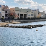 浜山小学校前の兵庫運河に整備された干潟。児童たちは「あつまれ生き物の浜」（あつ浜）と名付けた＝神戸市兵庫区材木町