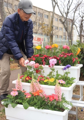 児童を見守るよう、住民らが育てた花が通学路に飾られた＝神戸市須磨区竜が台６