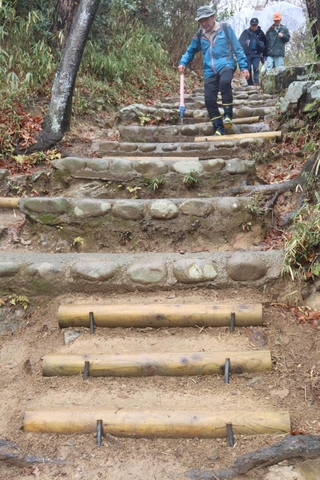 急な段差に丸太を設置して歩きやすくなった金鳥山の登山道＝東灘区本山町田辺