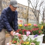 児童を見守るよう、住民らが育てた花が通学路に飾られた＝神戸市須磨区竜が台６