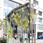 キャンペーンに合わせ、装飾された三井住友銀行神戸本部ビル前の電話ボックス＝神戸市中央区浪花町