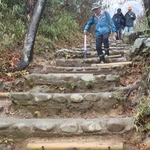 急な段差に丸太を設置して歩きやすくなった金鳥山の登山道＝東灘区本山町田辺