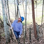 放置竹林を伐採するバハラム・イナンルさん。田畑や集落に隣接する里山の保全活動の一環だ＝北区大沢町日西原