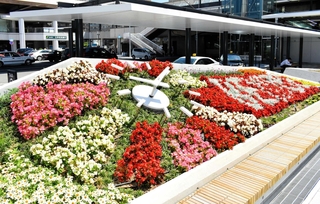 西神中央駅前にお披露目された花時計＝西区糀台５