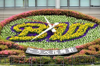 「ブルーウェーブ」のチームロゴに植え替えられた花時計＝中央区加納町６