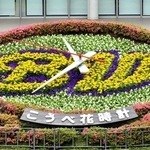 「ブルーウェーブ」のチームロゴに植え替えられた花時計＝中央区加納町６