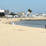 ７月１０日の海開きを控える須磨海岸＝須磨区