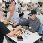 熱戦が繰り広げられた神戸地区大会＝神戸新聞本社