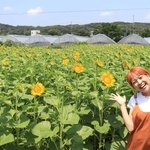 原さつきさんが中心となって整備したヒマワリ畑。イベントを前に花が開き始めた＝神戸市西区伊川谷町前開