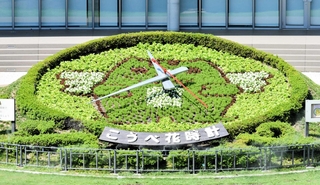 「めいすいくん」の絵柄に植え替えられたこうべ花時計＝東遊園地