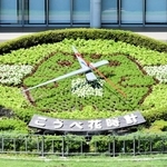 「めいすいくん」の絵柄に植え替えられたこうべ花時計＝東遊園地