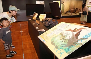 恐竜が絶滅した理由を紹介するパネル。化石の複製品なども合わせて紹介している＝神戸海洋博物館