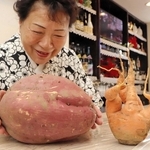 サツマイモの大きさを確かめる合志瑞姫さん。四つに分かれたニンジンとともに常連客の話題になったという＝神戸市中央区中山手通１