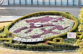 来年の干支にちなみ馬の漢字をデザインしたこうべ花時計＝東遊園地