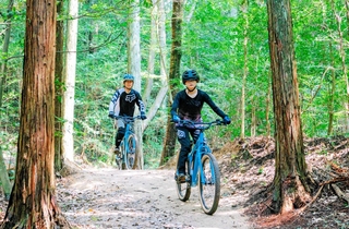神戸市立森林植物園に整備されたマウンテンバイクコース＝北区山田町（市提供）