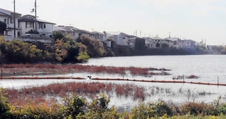 ②明石市・稲美町境