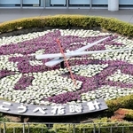 来年の干支になる馬の漢字をデザインしたこうべ花時計＝東遊園地