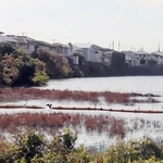 ②明石市・稲美町境