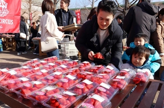 みずみずしいイチゴが並んだ直販ブース＝神戸フルーツ・フラワーパーク大沢