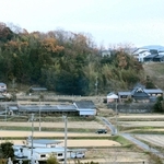 うっそうと木々に覆われる茶臼山城跡。右手奥には上津台のニュータウンが広がる＝神戸市北区赤松台１から