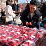 旬のイチゴ大集合　神戸・北区産の直売会にぎわう　フルーツ・フラワーパーク