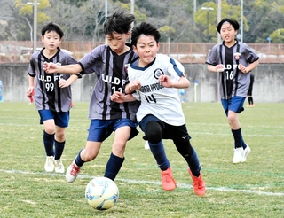 白熱の決勝戦。小学生がボールを巡って激しく競り合う＝神戸総合運動公園