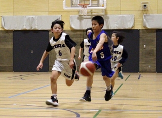 コートを駆ける選手たち＝神戸市立磯上体育館（提供）