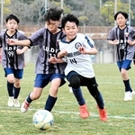 白熱の決勝戦。小学生がボールを巡って激しく競り合う＝神戸総合運動公園