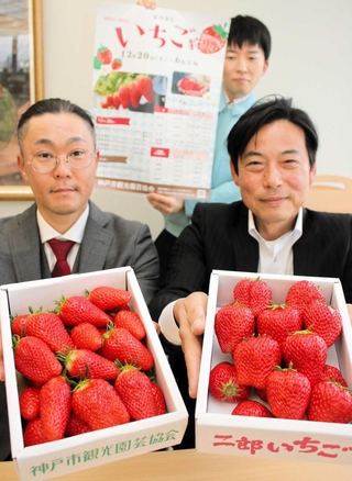旬を迎えたイチゴをＰＲする神戸市観光園芸協会の関係者ら＝中央区東川崎町１