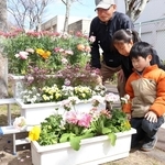 須磨連続児童殺傷事件29年　彩花さんの通学路、花で彩る　「忘れない」思い込め