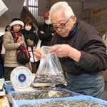 播磨灘でイカナゴのシンコ漁解禁　昨年の半値、買い物客「それでも高い」　東山商店街